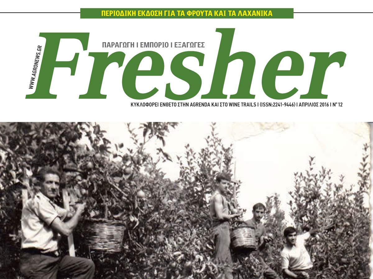 Fresher: Αφιέρωμα 100 χρόνια Ζαγορίν