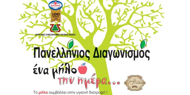 Πανελλήνιος Μαθητικός Διαγωνισμός