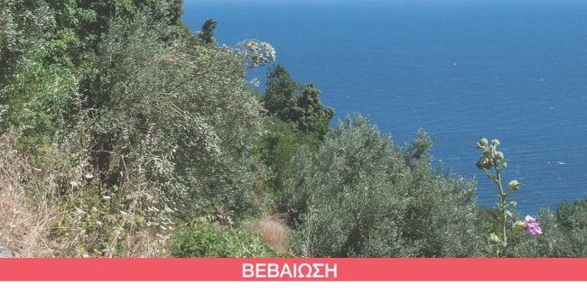 Βεβαίωση Συμμετοχής Σχολείων