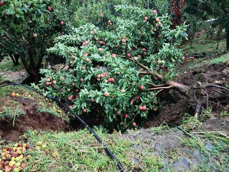 ΑΓΡΟΤΙΚΟΣ ΣΥΝΕΤΑΙΡΙΣΜΟΣ ΖΑΓΟΡΙΝ: ΚΡΙΝΕΤΑΙ Η ΕΠΙΒΙΩΣΗ ΜΑΣ