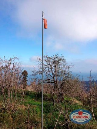 Σύστημα παρεμπόδισης σύζευξης της καρπόκαψας